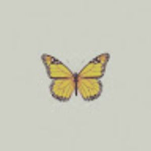 Meet your Posher, Nadine